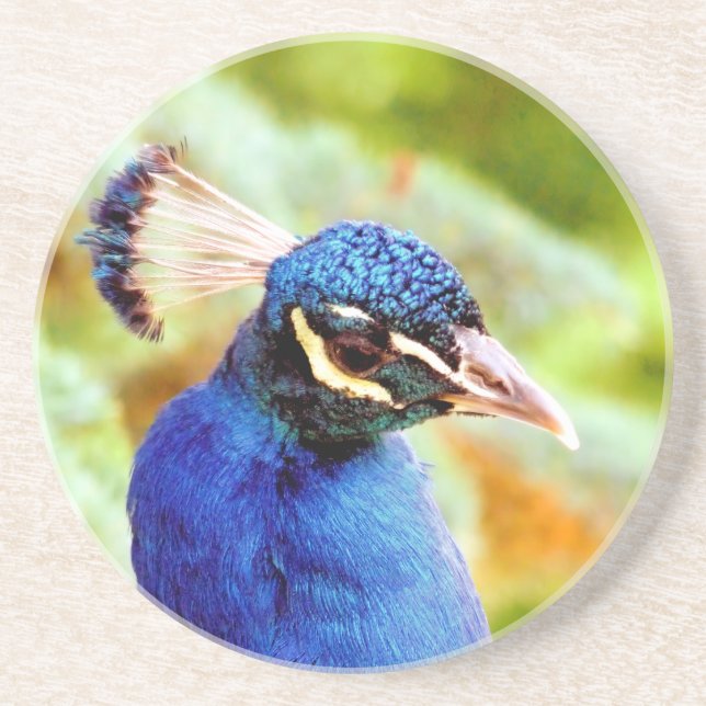 PEACOCK UNDERLÄGG (Framsidan)