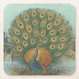 Peacock Underlägg Papper Kvadrat