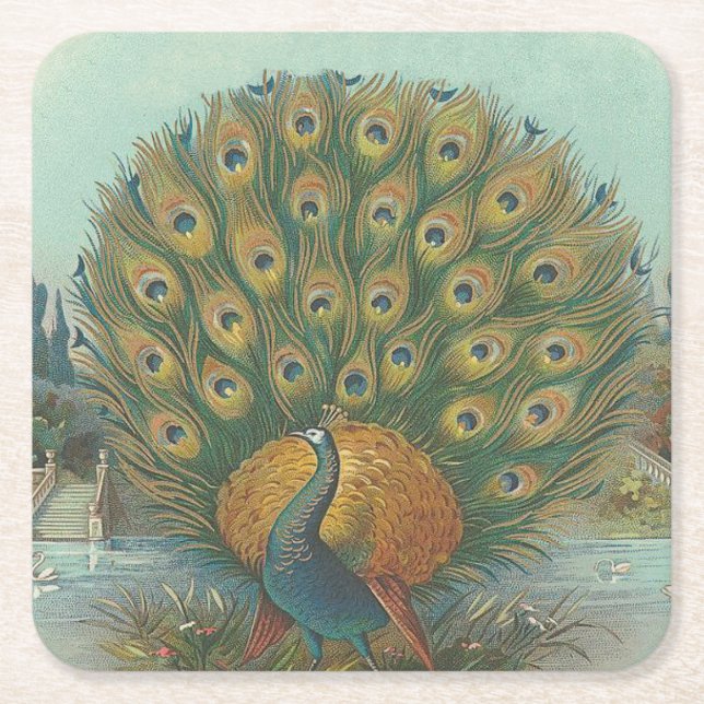 Peacock Underlägg Papper Kvadrat (Framsidan)