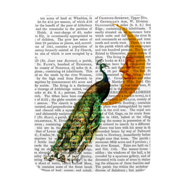 Peacock vid Måne Magnet (Vertikal)