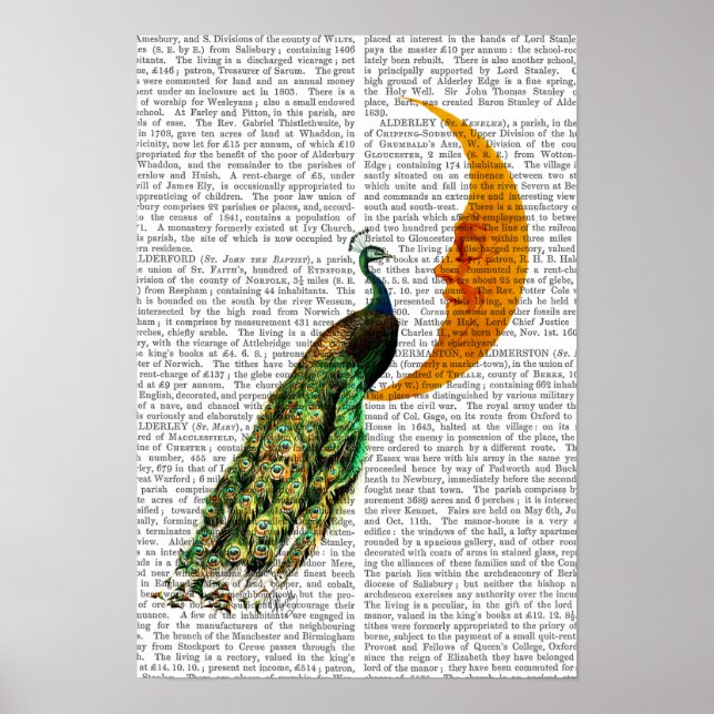 Peacock vid Måne Poster (Framsidan)