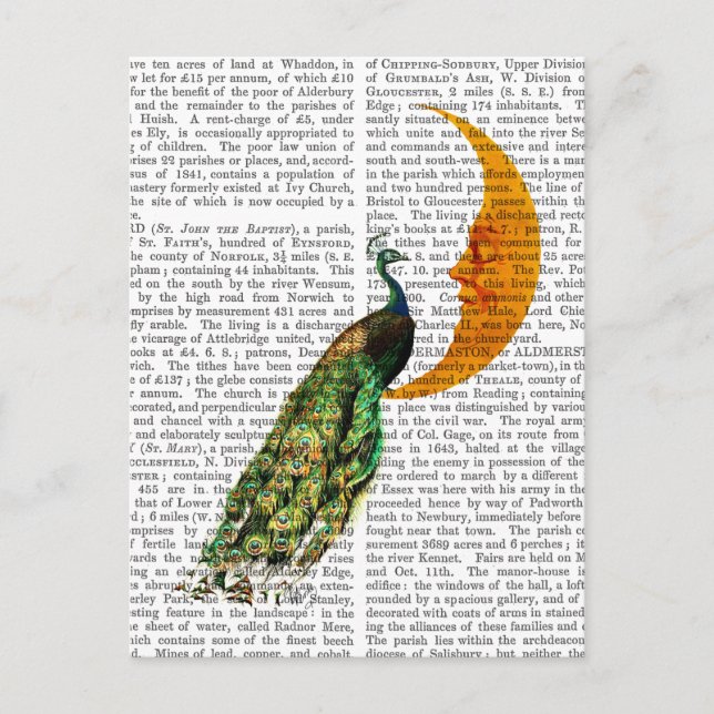 Peacock vid Måne Vykort (Framsida)
