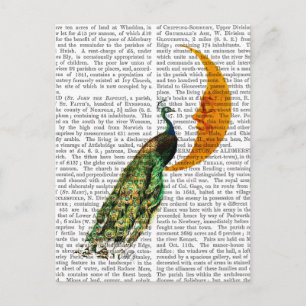 Peacock vid Måne Vykort