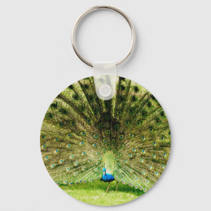 Peacock Visning Färg Nyckelring