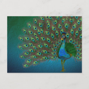 Peacock Vykort