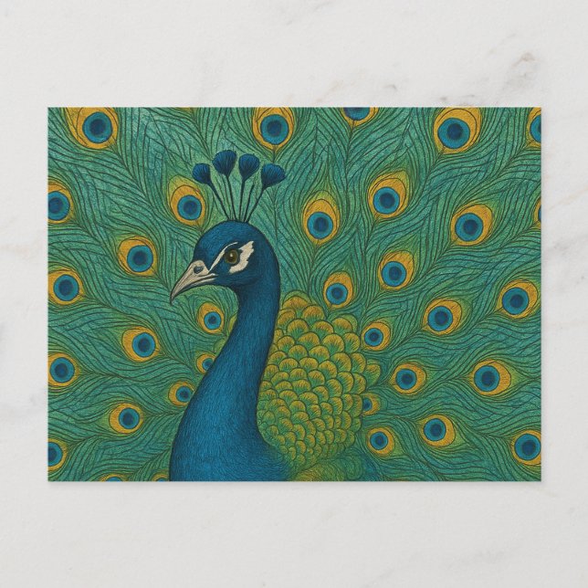 Peacock Vykort (Framsida)
