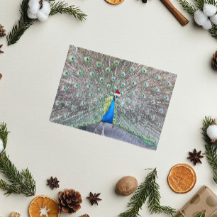 Peacock Wearing Red Santa Cap Funny Helgkort