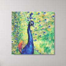 Peacock - Wrapped Canvas