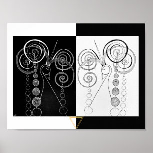 Peacock Yin och Yang DUET illustration Poster