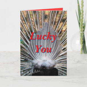 Peacockbutt card2-customize några orsakar kort