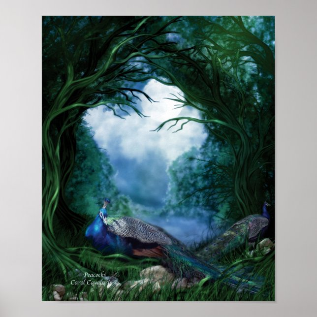 Peacocks Art Poster/skriver ut Poster (Framsidan)