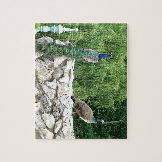 Peacocks Birds Garden Photo Puzzle med Gift Box Pussel (Vertikal)