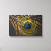 Peacock's eye
