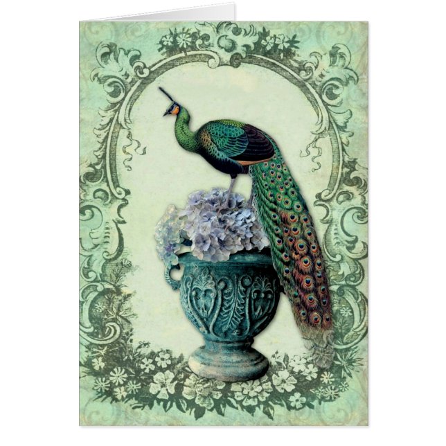 Peacocks Hydrangea Urn OBS Kort (Framsidan)