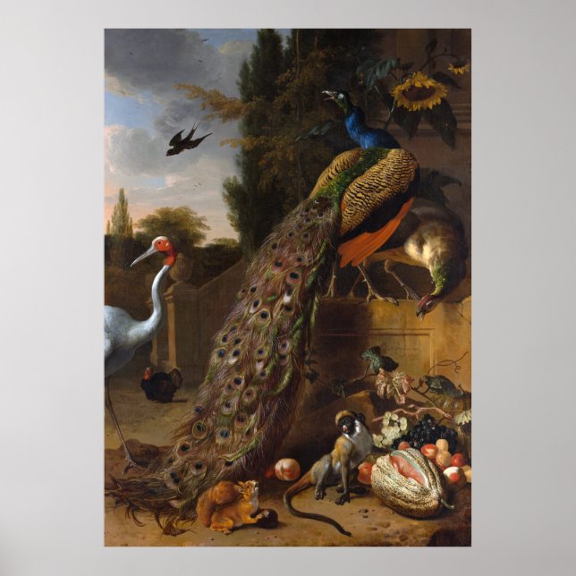 Peacocks - Melchior d'Hondecoeter Poster (Framsidan)