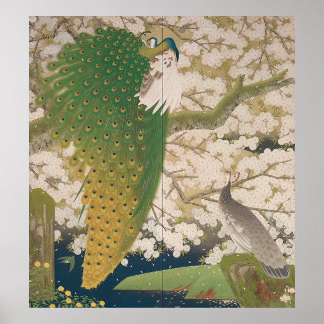 Peacocks och Cherry Träd (1925) Poster (Framsidan)