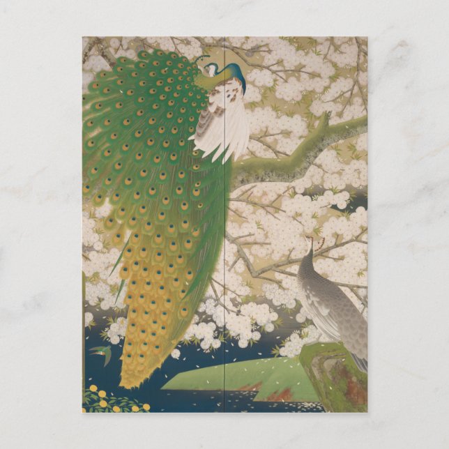Peacocks och Cherry Träd (1925) Vykort (Framsida)