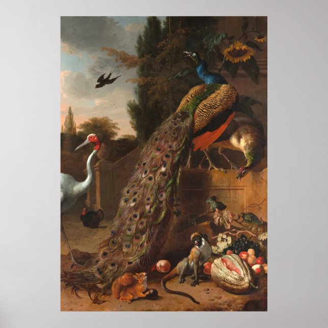 Peacocks Poster (Framsidan)