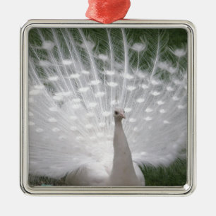 Peafowl-fullt Julgransprydnad Metall