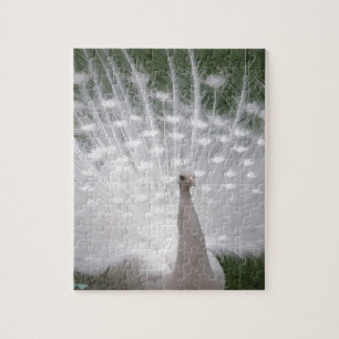 Peafowl-fullt Pussel