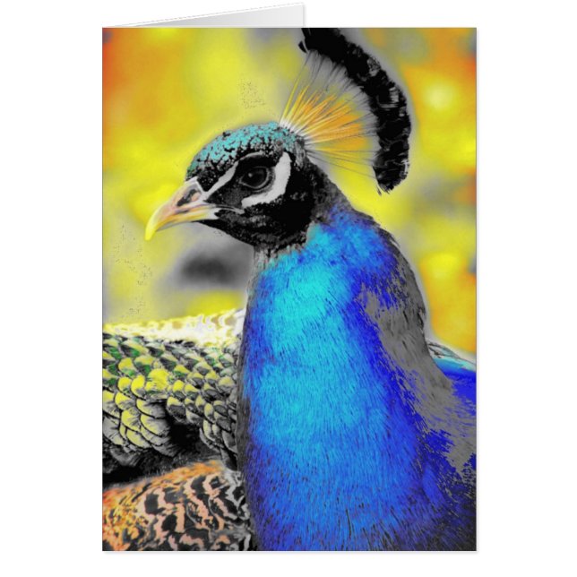 Peafowl Hälsningskort (Framsidan)