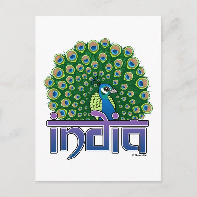 Peafowl i Indien Vykort (Framsida)