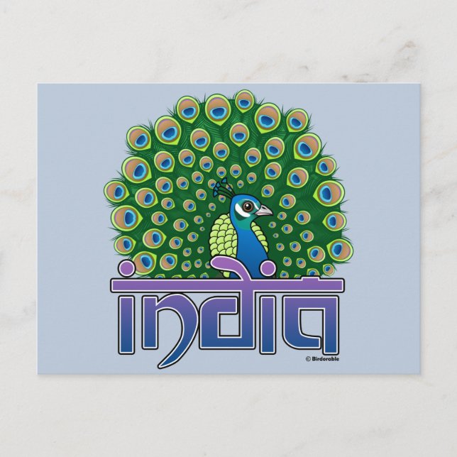 Peafowl i Indien Vykort (Framsida)