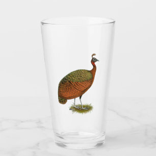 Peafowl: Kongo Peahen Glaskopp