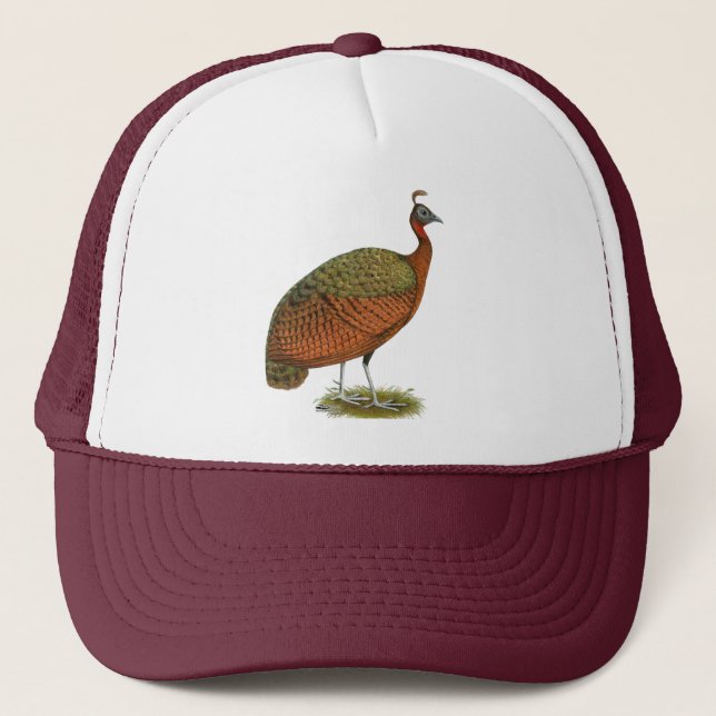 Peafowl: Kongo Peahen Keps (Framsida)