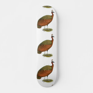 Peafowl: Kongo Peahen Mini Skateboard Bräda 18,5 Cm