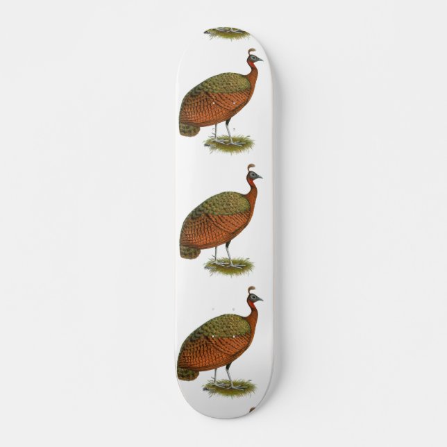 Peafowl: Kongo Peahen Mini Skateboard Bräda 18,5 Cm (Framsida)