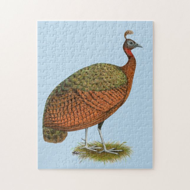Peafowl: Kongo Peahen Pussel (Vertikal)