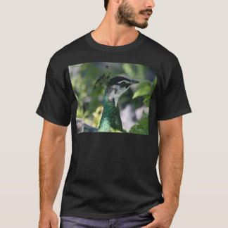 Peahen profilerar t-shirt