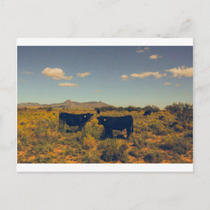 Peak Postcard 06 Vykort