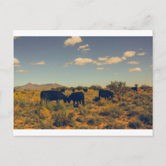 Peak Postcard 07 Vykort