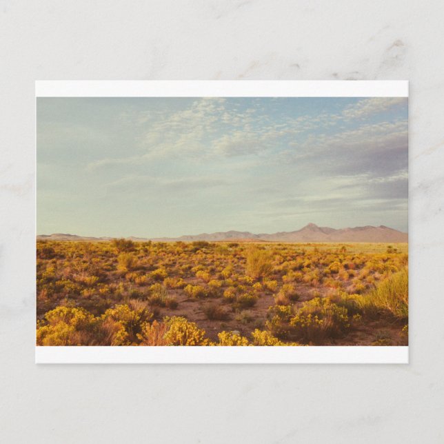 Peak Postcard 14 Vykort (Framsida)