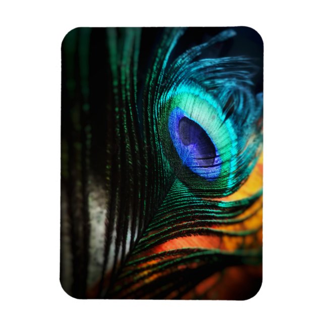 Peakcock Feather nära och Personligt Magnet (Vertikal)
