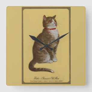 Peake, Chessies gamle tomcat tabby katt Fyrkantig Klocka