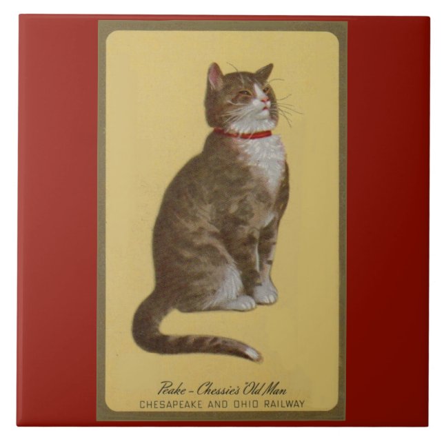 Peake, Chessies gamle tomcat tabby katt Kakelplatta (Framsidan)
