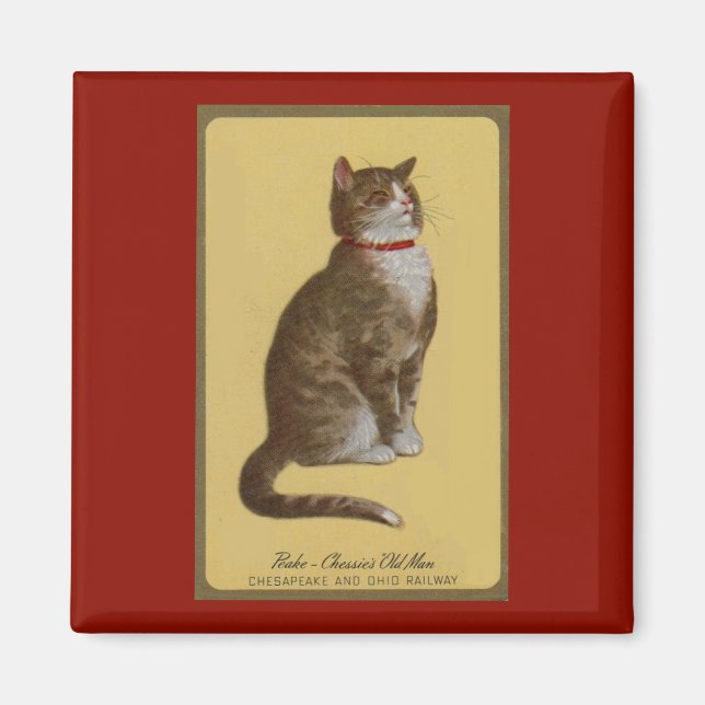 Peake, Chessies gamle tomcat tabby katt Magnet (Framsidan)