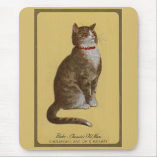 Peake, Chessies gamle tomcat tabby katt Musmatta