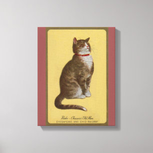 Peake Chessies tabby katt för gamal mantomcat Canvastryck