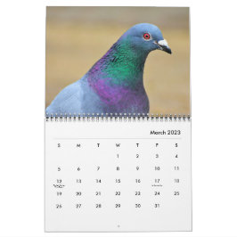 Peakeoner och Elegant Doves Nature Inspiced Kalender