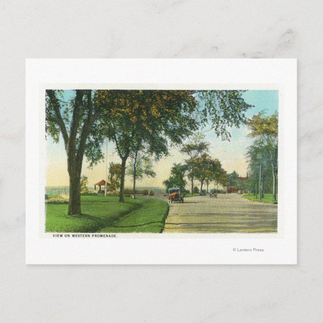 Peaks Island View of Pumpkin Knob Vykort (Framsida)