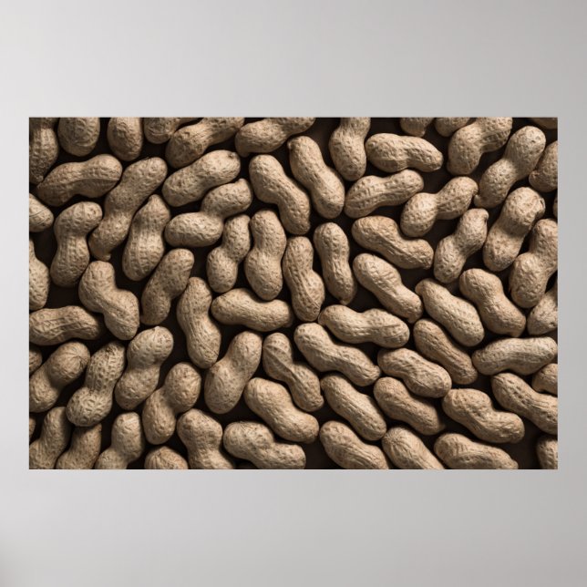 Peanut Family Poster (Framsidan)