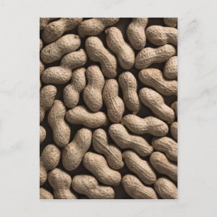 Peanut Family Vykort