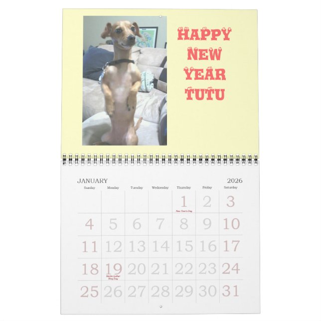 Peanut the Chiweenie Kalender (Jan 2026)
