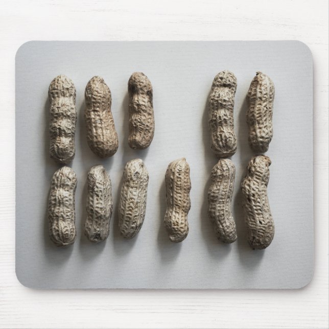 Peanuts ändå Life Fine Art Photograph Musmatta (Framsidan)