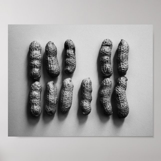 Peanuts ändå Life Fine Art Photograph Poster (Framsidan)
