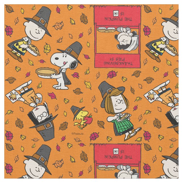 Peanuts Gang Pilgrim Thanksgiving Tyg (Närbild)